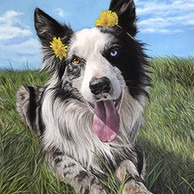 Radjah - Format 30x40 cm