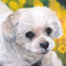 Titien - Format 30x24 cm