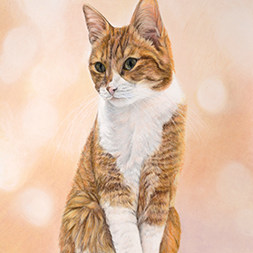 Souni - Format 22x30 cm