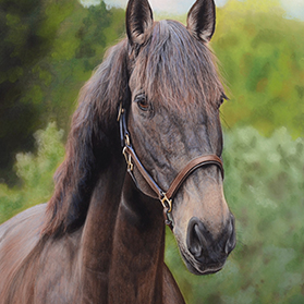 Sirius - Format 30x40 cm