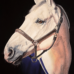 Clooney - Format 30x40 cm