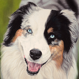 Skal - Format 30x40 cm