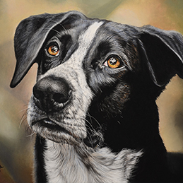 Diego - Format 30x22 cm