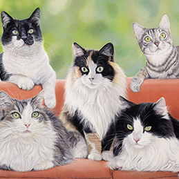Famille chat - Format 50x40 cm