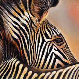 Zèbra - Format 18x24 cm