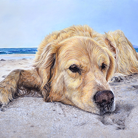 Isidor - Format 24x30 cm