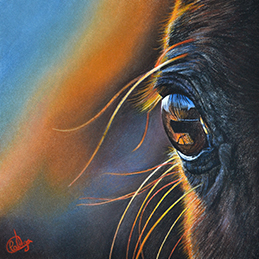 Mira - Format 14,5x14,5 cm