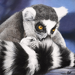 Abu- Format 23x23 cm