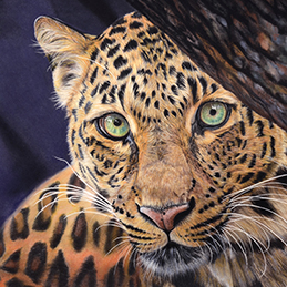 Silence - Format 50x30 cm