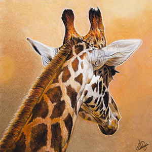 Altesse - Format 15x15 cm