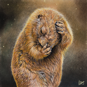 Txiki - Format 24x24 cm